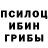 Галлюциногенные грибы мицелий Olga Linarewa