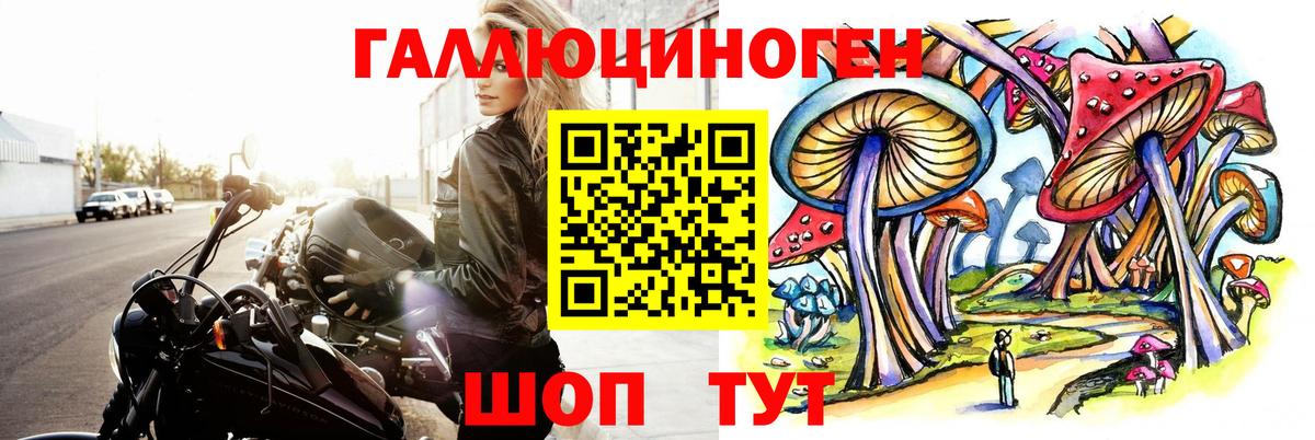 Псилоцибиновые грибы прущие грибы  Вход с VPN  Галлюциногенные грибы GOLDEN TEACHER  Аргун 