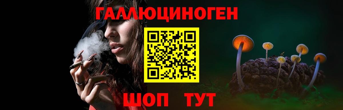 Галлюциногенные грибы прущие грибы Аргун